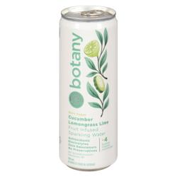 Collective Arts Sparkling Water